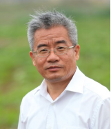 性爱网