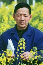 性爱网