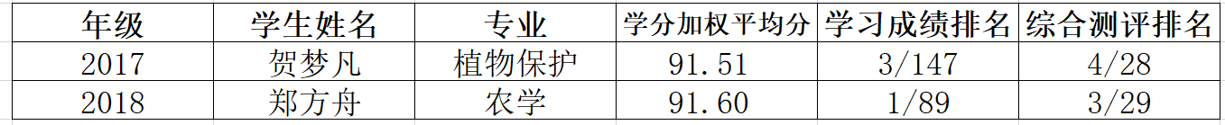 性爱网