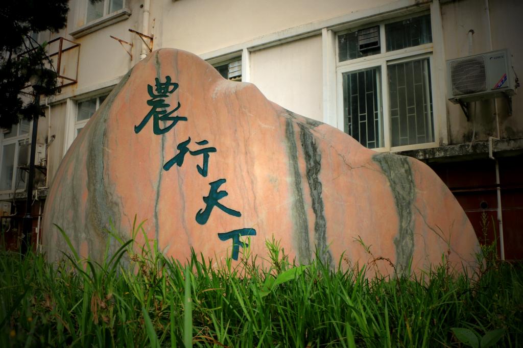 性爱网