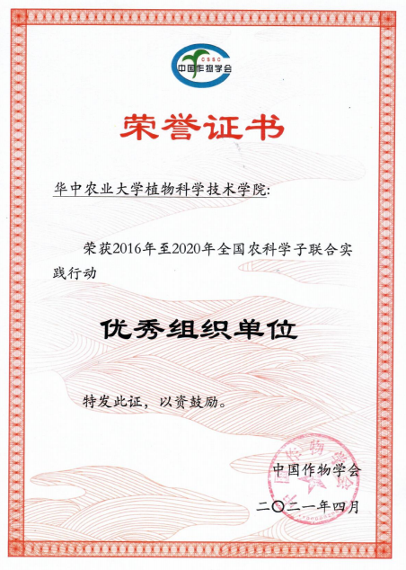 性爱网